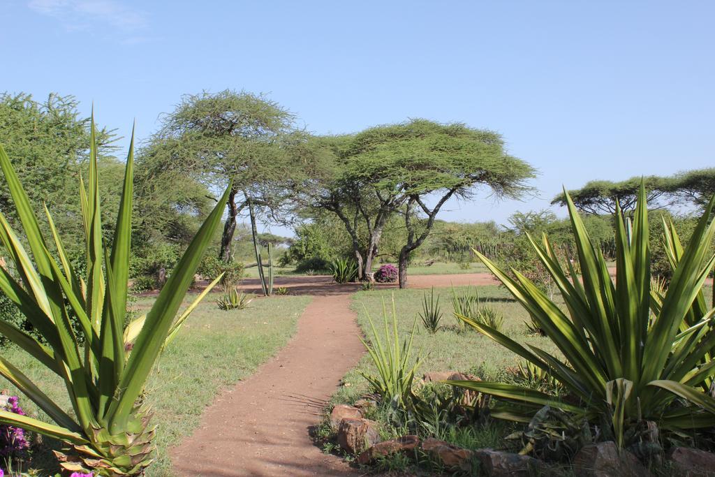 Mapito Tented Camp Σερενγκέτι Εξωτερικό φωτογραφία