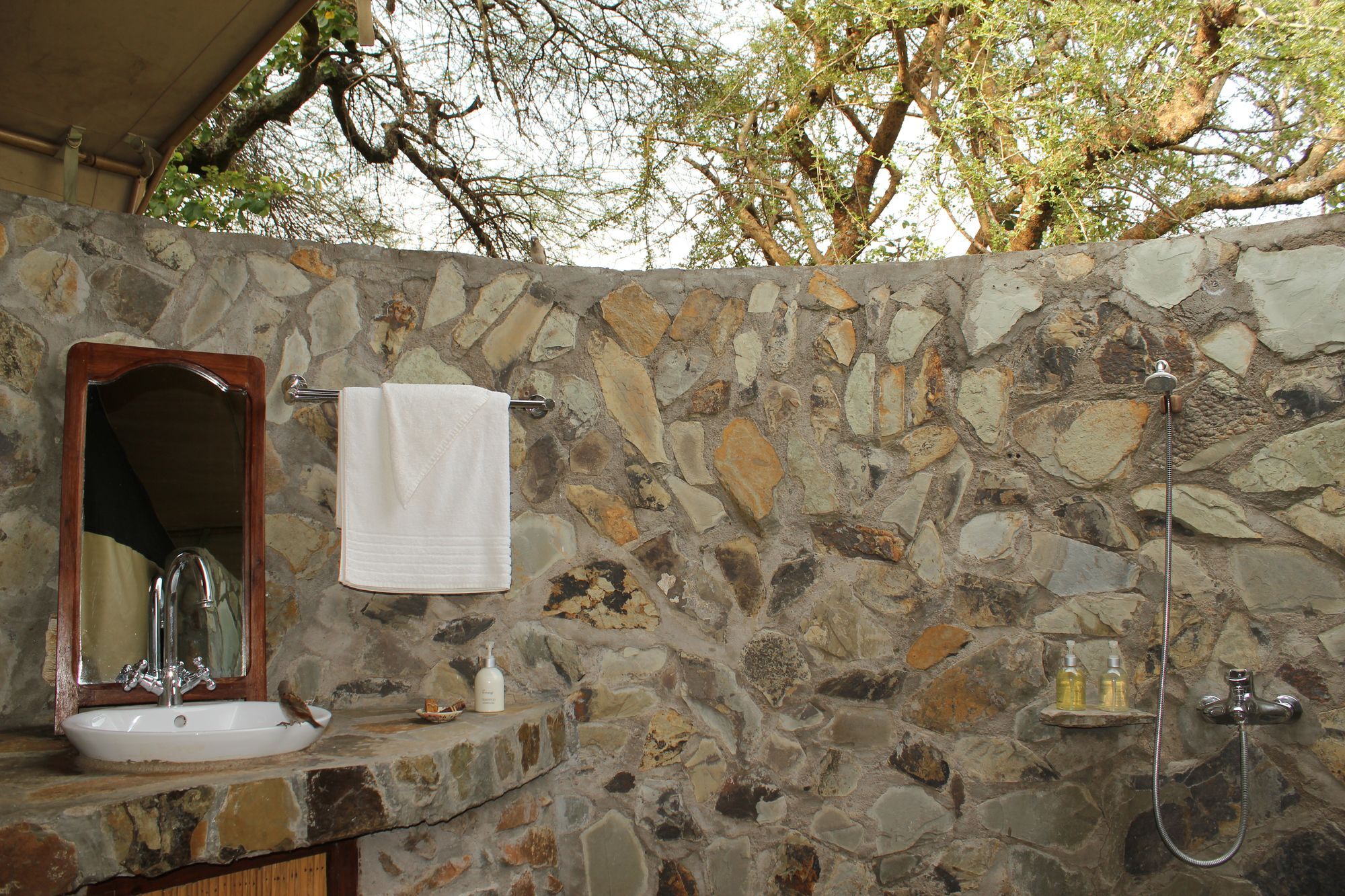 Mapito Tented Camp Σερενγκέτι Εξωτερικό φωτογραφία