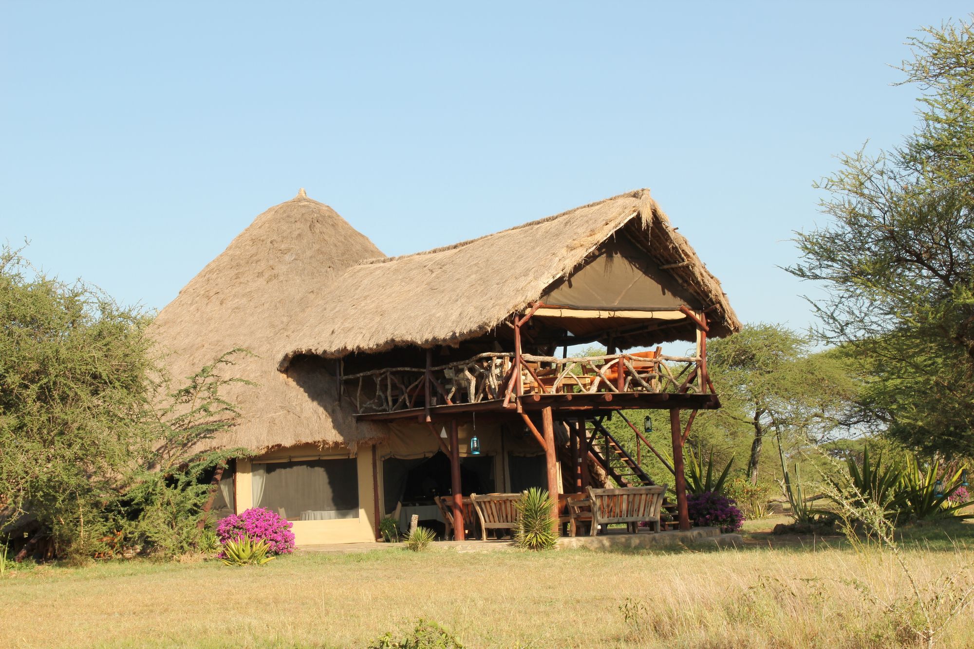 Mapito Tented Camp Σερενγκέτι Εξωτερικό φωτογραφία
